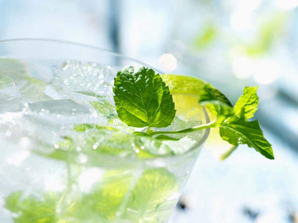 Calgary Beverage Photographer. An up-close shot of a refreshing mojito.